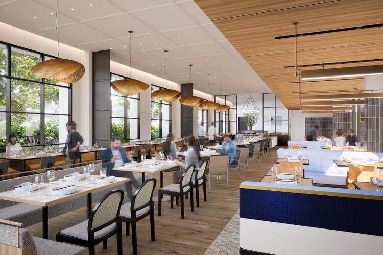 ステーキを中心とした洋食料理を提供