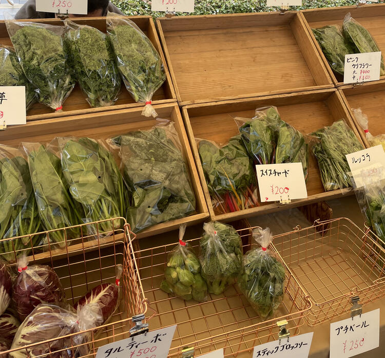 契約農家さんの直送お野菜