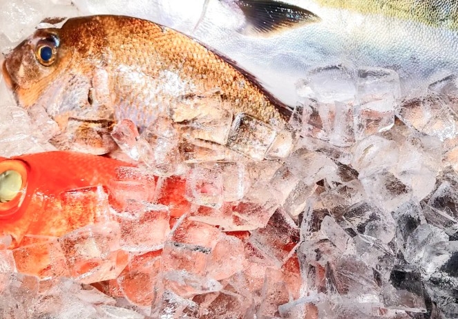 第二期オープニングスタッフ大募集◎