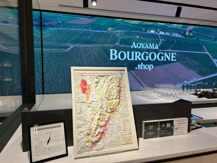 未経験スタートでもOK