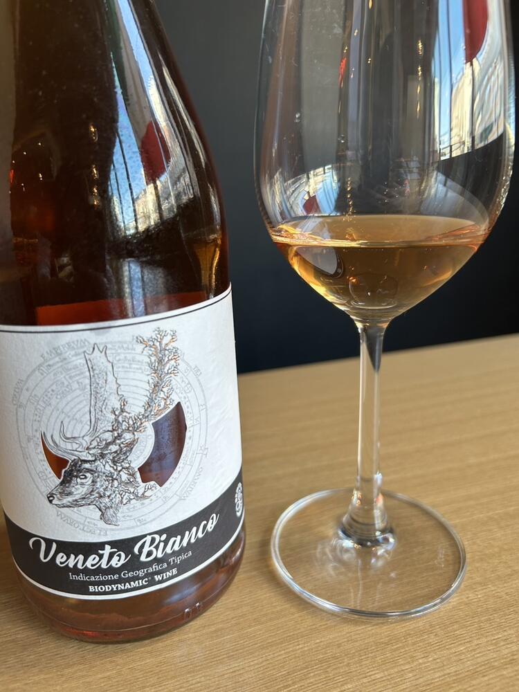 地元の食材にこだわったイタリアンが自慢！