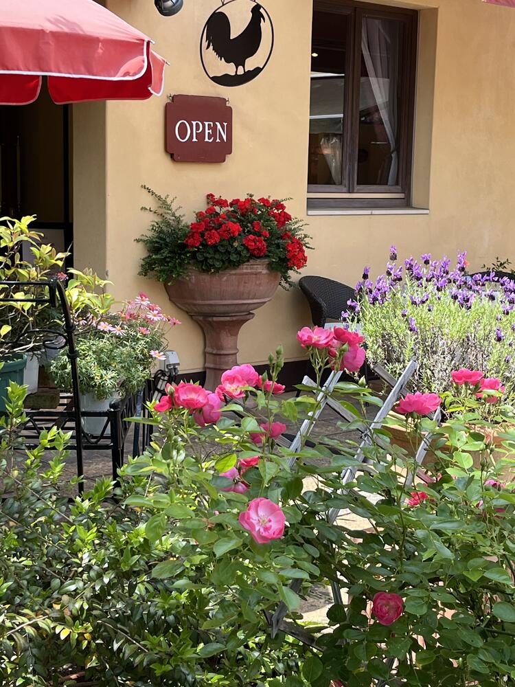 入口のお花がお客様を迎えます