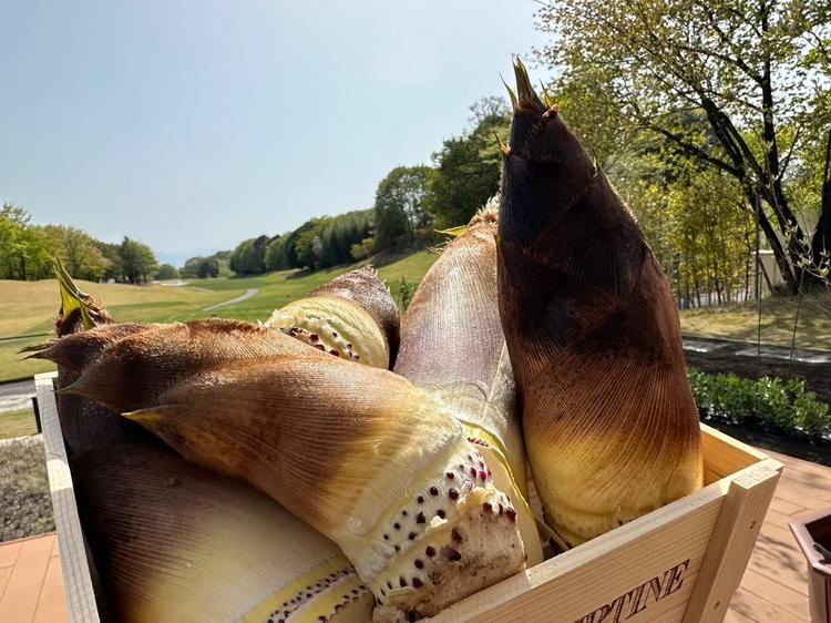 THE CLUB golf villageの詳細画像7