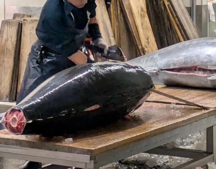 　希望あれば大将について豊洲見学もOK