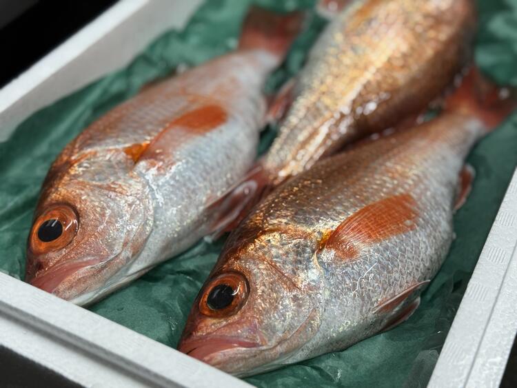 母体は水産仲卸。日々多くの魚を仕入れる。