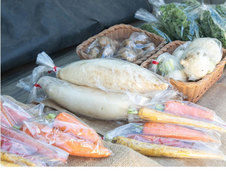 横須賀の農家さんより無農薬野菜が届きます