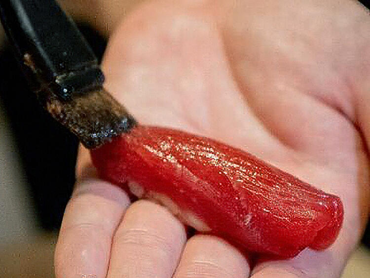 その日イチバンのネタをお届け！