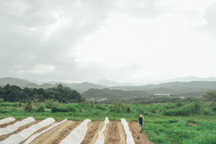 三重県多気町、ヴィソンでの農業体験！