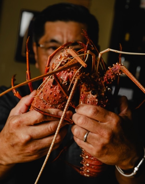 高級素材にも触れられます◎