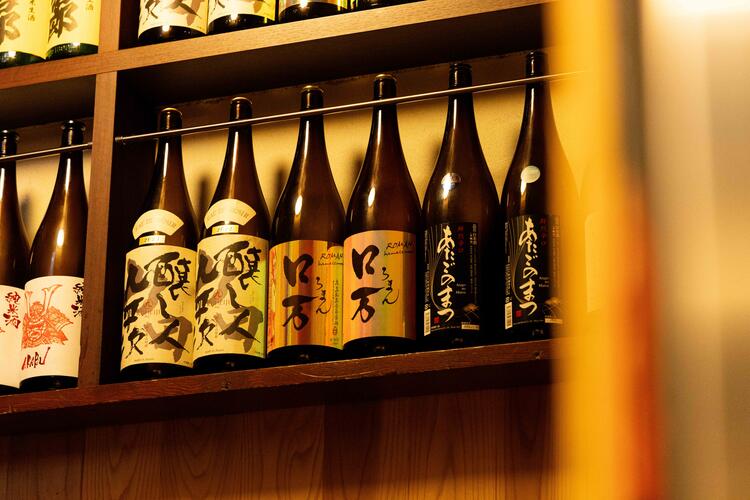 魚について学びたい方大歓迎◎