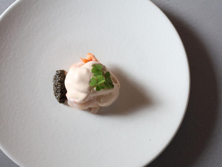 misolaの詳細画像5