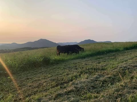 一緒に働けることを楽しみにしています！