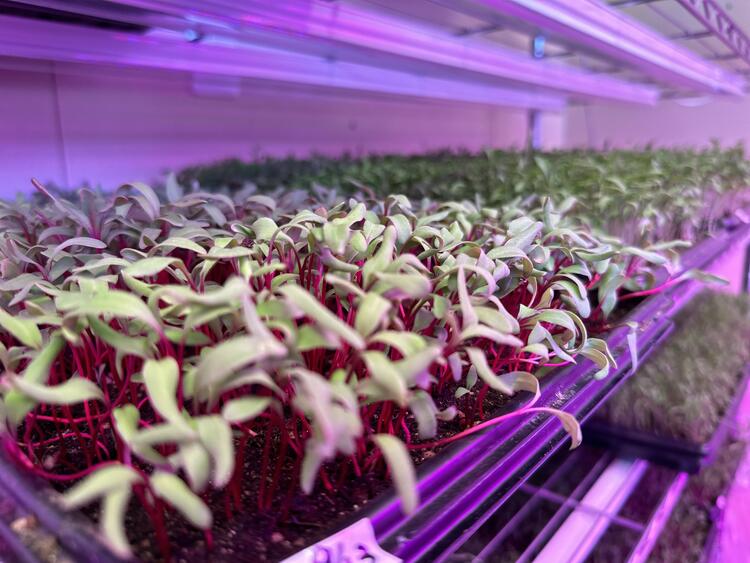 ★ハーブ&厳選放牧豚&お酒を楽しむお店