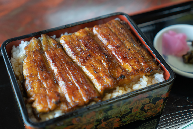 和・洋・中さまざまな料理をご提供！