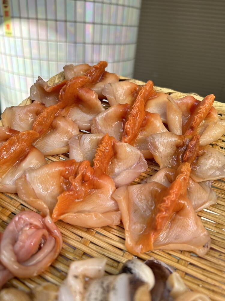 貝が大好きなあなたにピッタリ♪