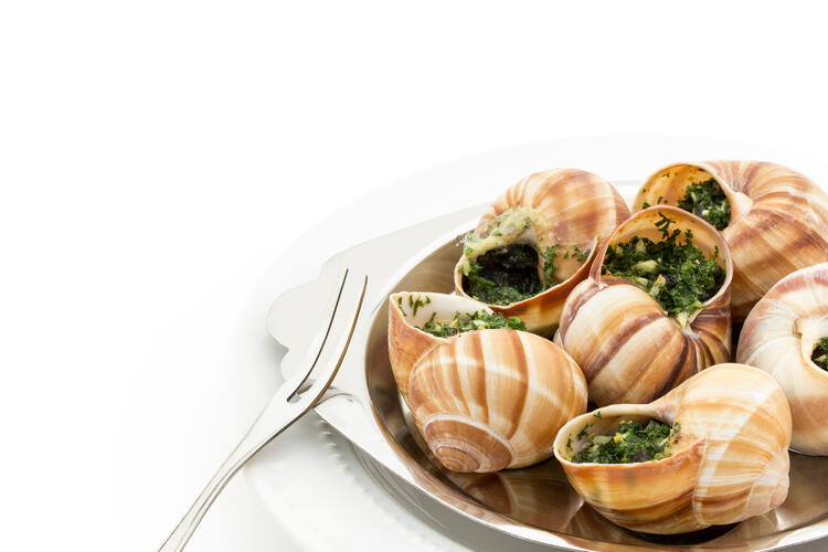 オープニングスタッフ募集※画像はイメージ