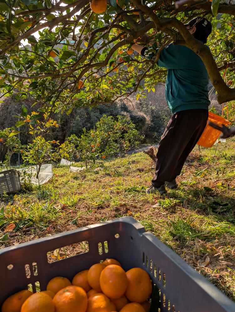 生産地訪問なども行っています◎