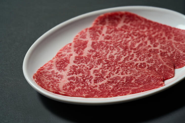 未経験でもしっかり活躍できます◎