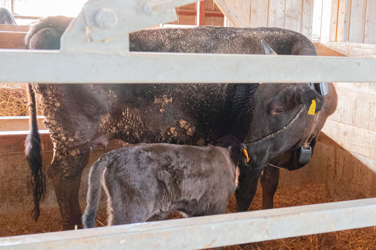 人にも動物にも優しい環境を追求