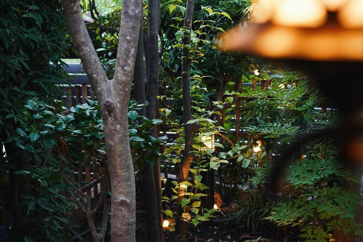 木々に囲まれた環境で癒されながら働く