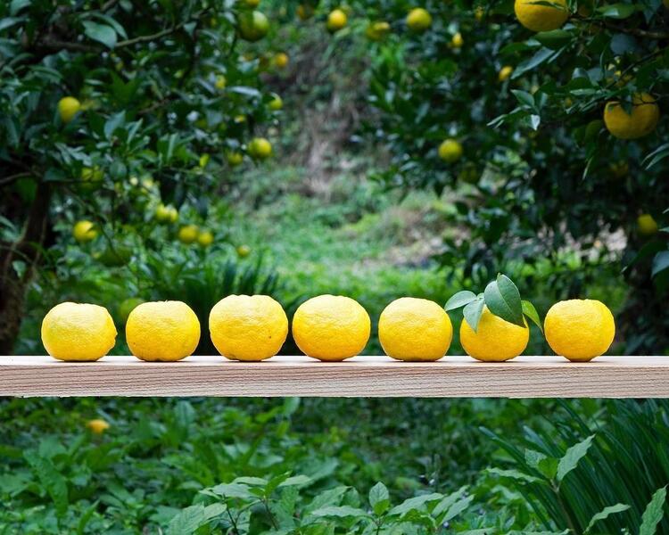 仕入れにもこだわっています