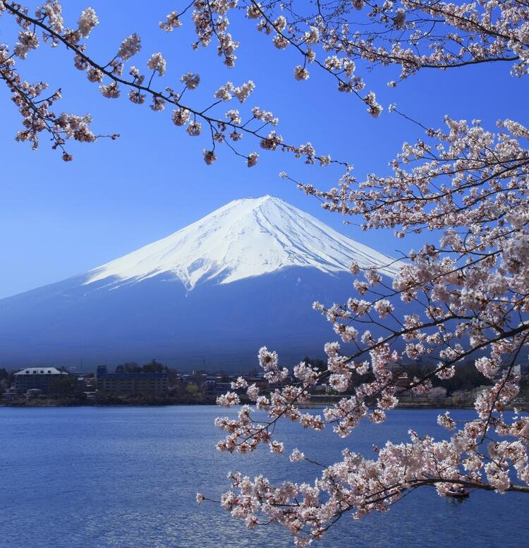 日本文化を「食」で彩る仲間を募集中！