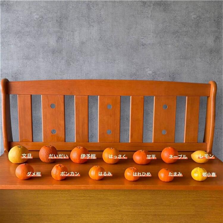 契約農家さんの柑橘🤩