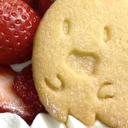 MOQIN'DOSH中野みなみの本店