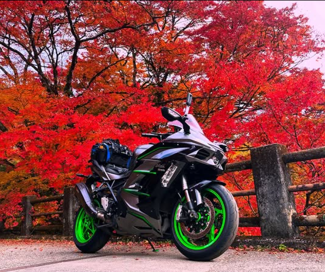 仕事も趣味も全力で楽しむ大将が師匠に！