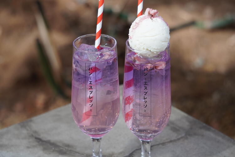 ～夜桜ソーダ〜