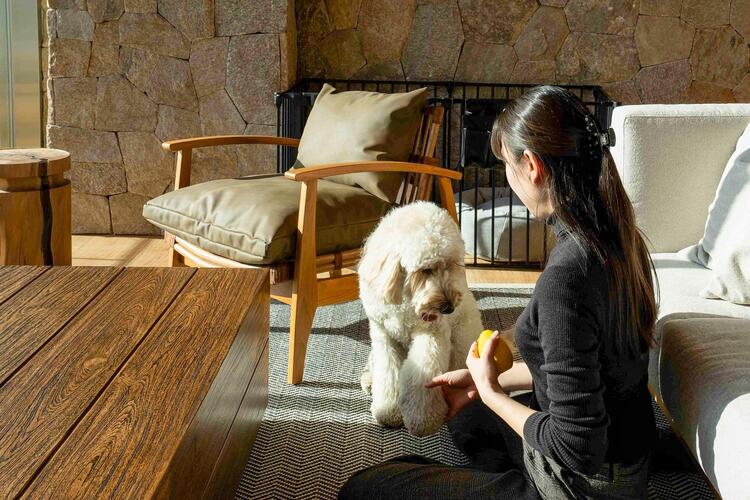 UMITO VILLA KAMAKURA ZAIMOKUZAの詳細画像8