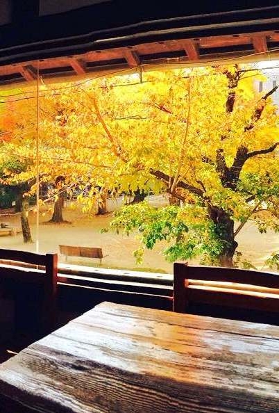 たくさんのご応募お待ちしています！