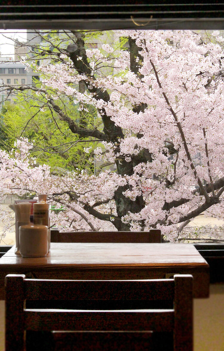 窓からは四季を感じられる景色が…♪