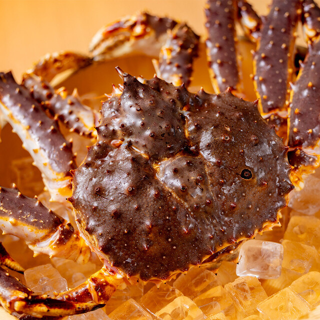 銀座 懐石 うら汐の詳細画像1