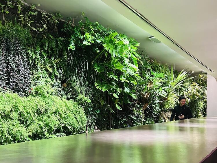 WALL 青山店の詳細画像1