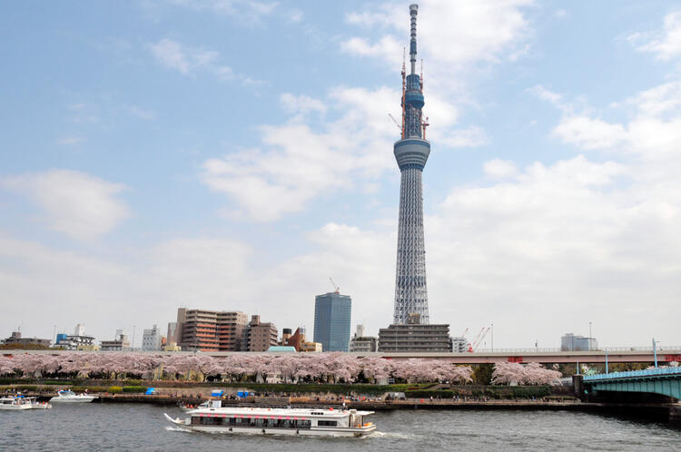 働きやすい環境が整っています！