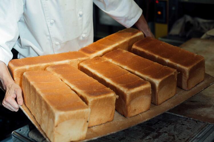 たくさんのご応募お待ちしています！