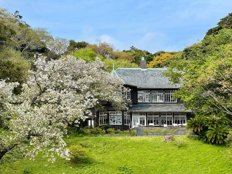 鎌倉駅徒歩5近　自然に囲まれた歴史的洋館