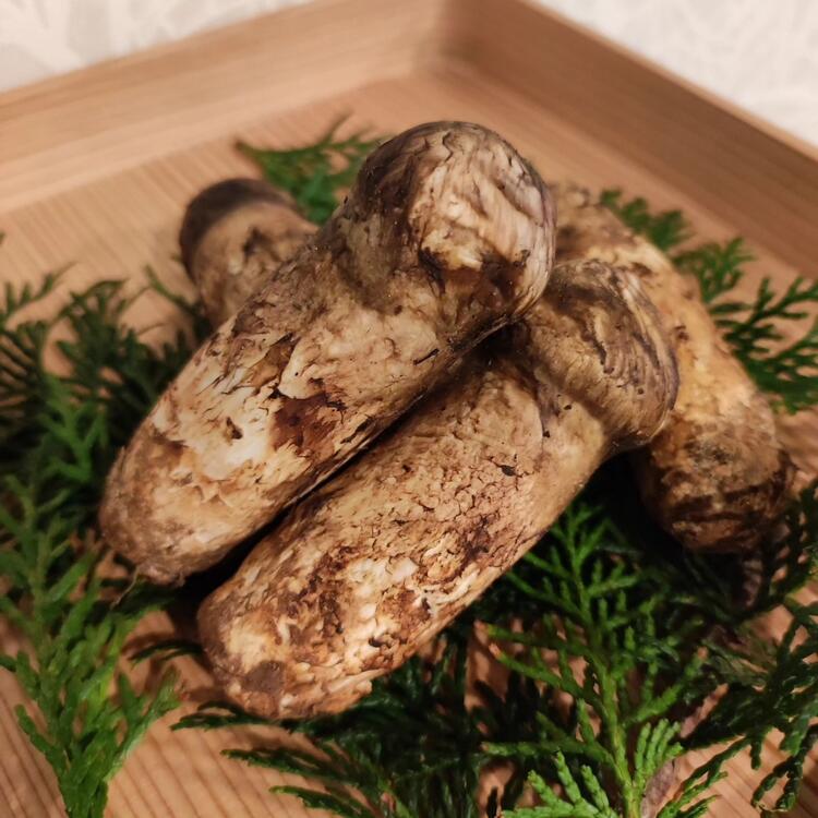 高級食材の知識も身につく