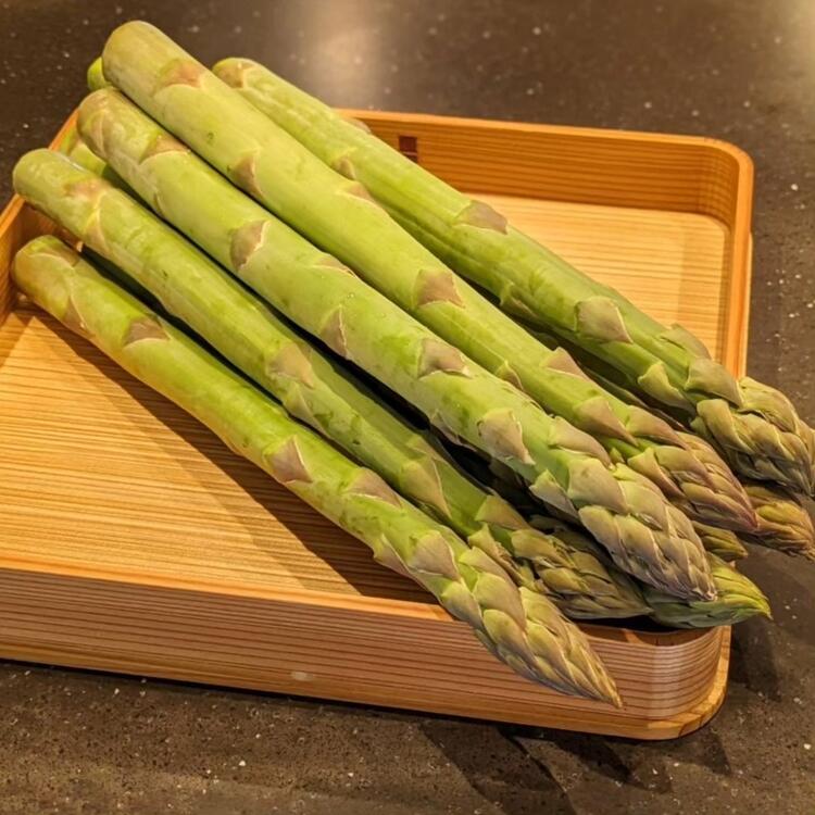 ぜひご応募ください！