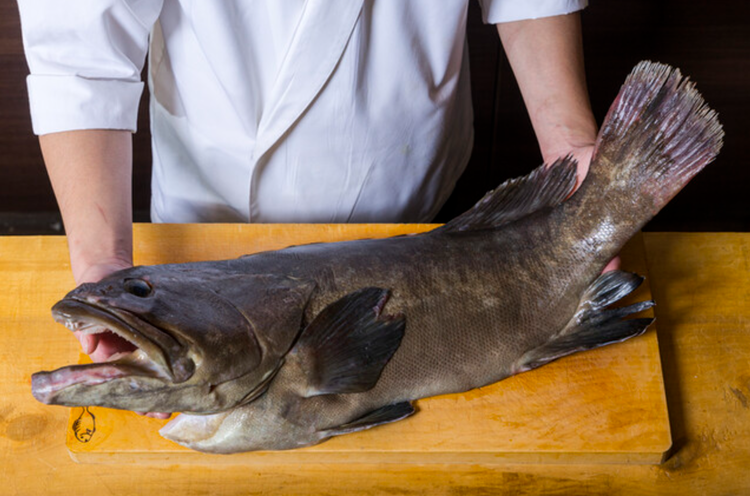 本格的に料理を学びませんか？