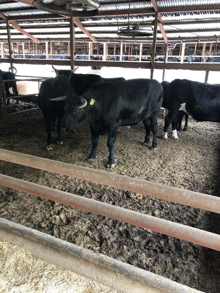 ご応募をお待ちしております♪