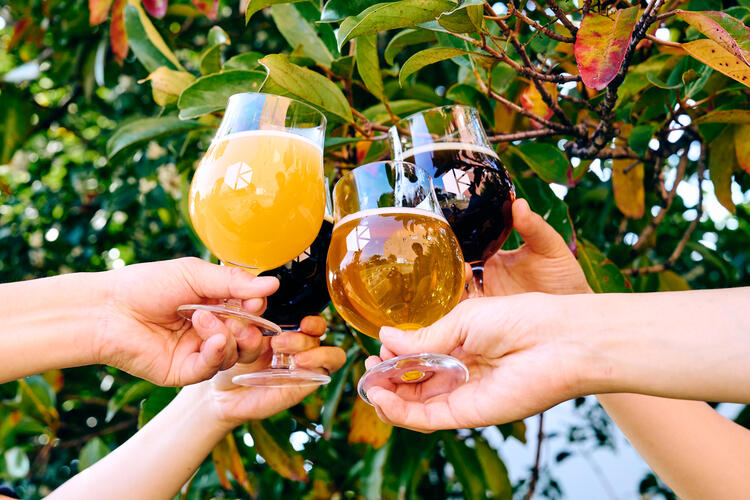 クラフトビール好き注目