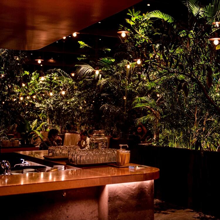 店内は緑に囲まれ落ち着いた雰囲気です！