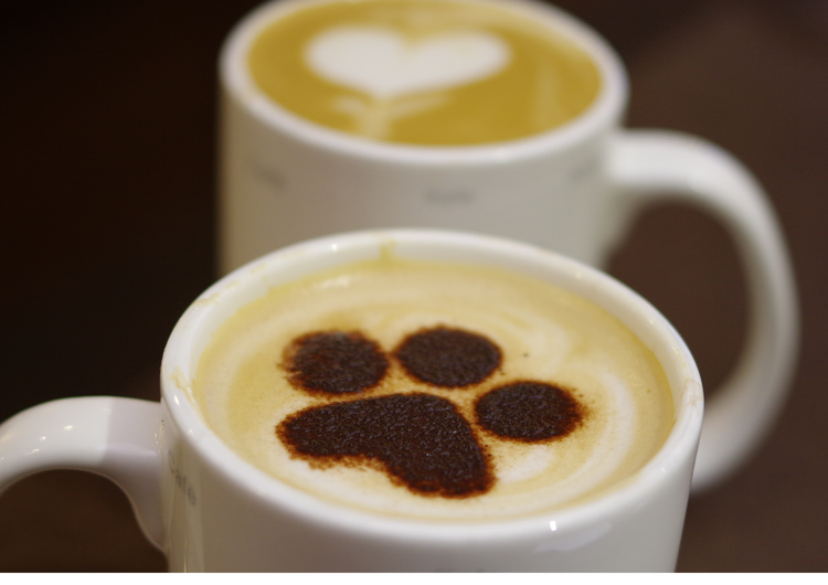 午後からのお仕事です★※フリー画像