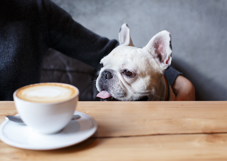 月9日休みでしっかり休めます※フリー画像