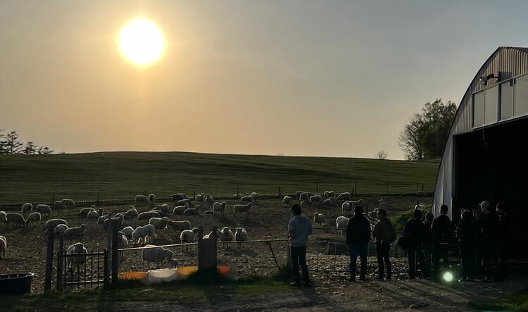 社員研修で牧場視察もあります