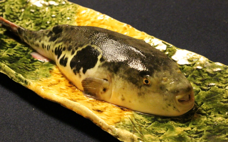 様々な季節の食材に触れられます◎