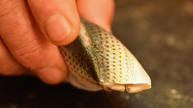 同業プロも認める本物の味
