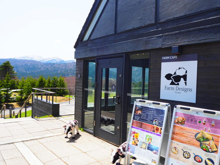 夏は牛さんが目の前に！